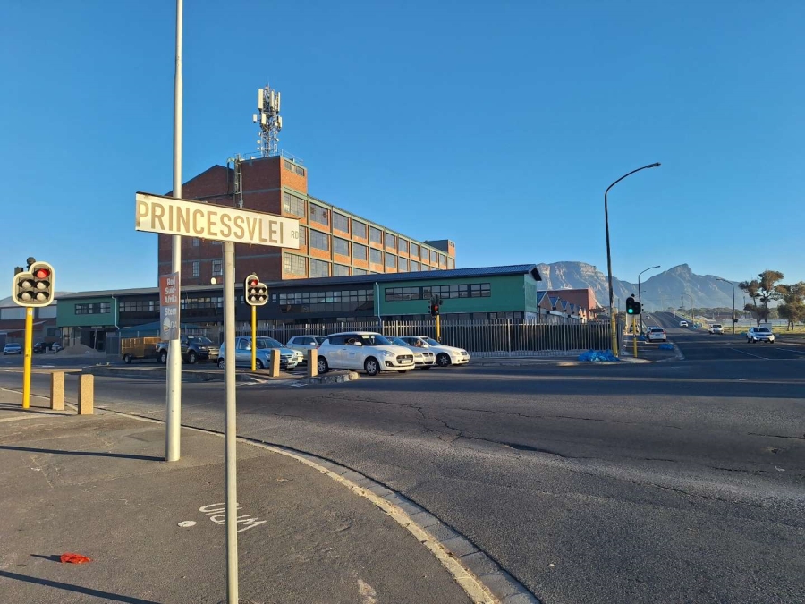 To Let commercial Property for Rent in Diep River Western Cape